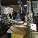 아성농장 이미지