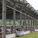 창신목장 이미지