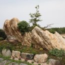 1004섬수석미술관 이미지