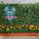 2025 청양 고추 구기자 축제(제26회) 이미지