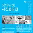 탄생축제 이미지