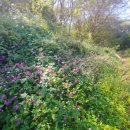 여산농장 이미지