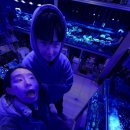 신반포로45길 59 이미지