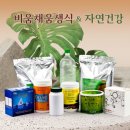 비움채움생식