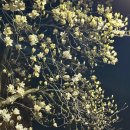 인디언캠프 | [대구 지산동] 도심 속 이색 캠핑고기집 '인디언캠프' 당일 예약 후 방문