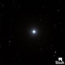 THE STAR 이미지