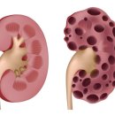 위례S동물의료센터 이미지
