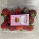 다은농장 이미지