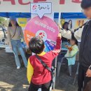 해나루 | 당진 해나루 황토 고구마 축제 후기