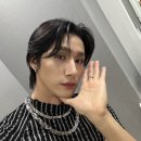 고양이나라