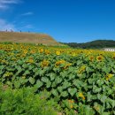 연천 호로고루 이미지