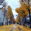 루나치과보존과치과의원 이미지