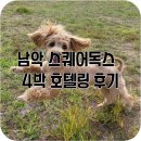 랑독 | 목포 남악 스퀘어독스 애견호텔 4박 후기 (+비용,애견호텔 리스트)