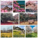 박해목장 이미지