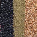 농업회사법인콩사랑(유) 이미지