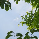 그늘막42 이미지