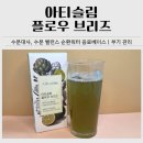 브리즈 | 순환워터 아티슬림 플로우 브리즈 후기｜부기 관리 지중해 아티초크 일주일 섭취 리뷰