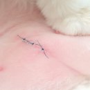 신개금동물병원 이미지