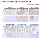 모든 바이오 이미지