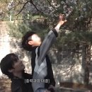 우당탕탕 대곶 노노투어 후기 (대곶: 이리노의 도시)