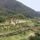 비학산 자연휴양림 이미지