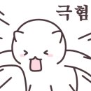 리플헤어