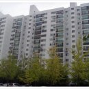 지에스25 신정사랑점 이미지