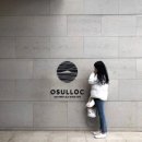 이니스프리경남 | [제주 서귀포] 푸릇한 녹차밭에 벚꽃까지 힐링 말차 아이스크림 추천 “오설록 티 뮤지엄”