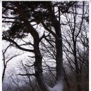 산유리 마을회관 | [20110301]가평올레 6코스(호명산+주발봉)와 1코스(자라섬) 이어걷기 - 4부