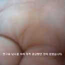 쭈꾸미/갑오징어 낚시 수중 동영상 입니다. 이미지