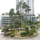 반송동126 이미지