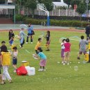 태흥초등학교 이미지
