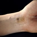 수컴퓨터 이미지