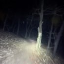부산에서 자전거 블랙박스에 찍힌 산속 묘령의 여인 - 장산귀 이미지