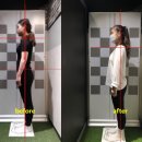 베이스오브바디 이미지