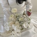 부산 웨딩스냅 후기 (자근숲)