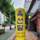 육선달