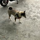 계성짬뽕