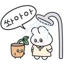 음지농장 이미지