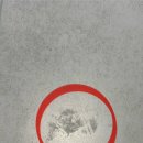 세종축산동물약품 | 라포르테세종 거실 포셰린 타일 세라믹코팅 시공후기