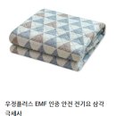 주식회사 대한의료기 | 전기장판에 대한 단상(우정플러스, 한일의료기(주)), 내돈내산