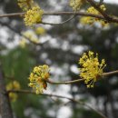 가현어린이공원 이미지