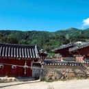 명곡사 Daum카페