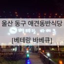 베테랑바베큐일산점