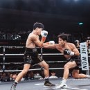 더 복싱 짐'엘' 이미지