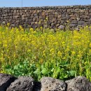 햇살한스푼 이미지