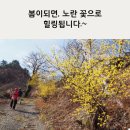 유도열농장 이미지