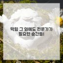 해결사의 집 이미지