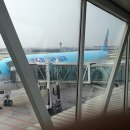 대한항공 B777-300ER KE806편 텐진 -＞ 인천 탑승기 이미지