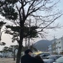 지베르니펜션2 이미지